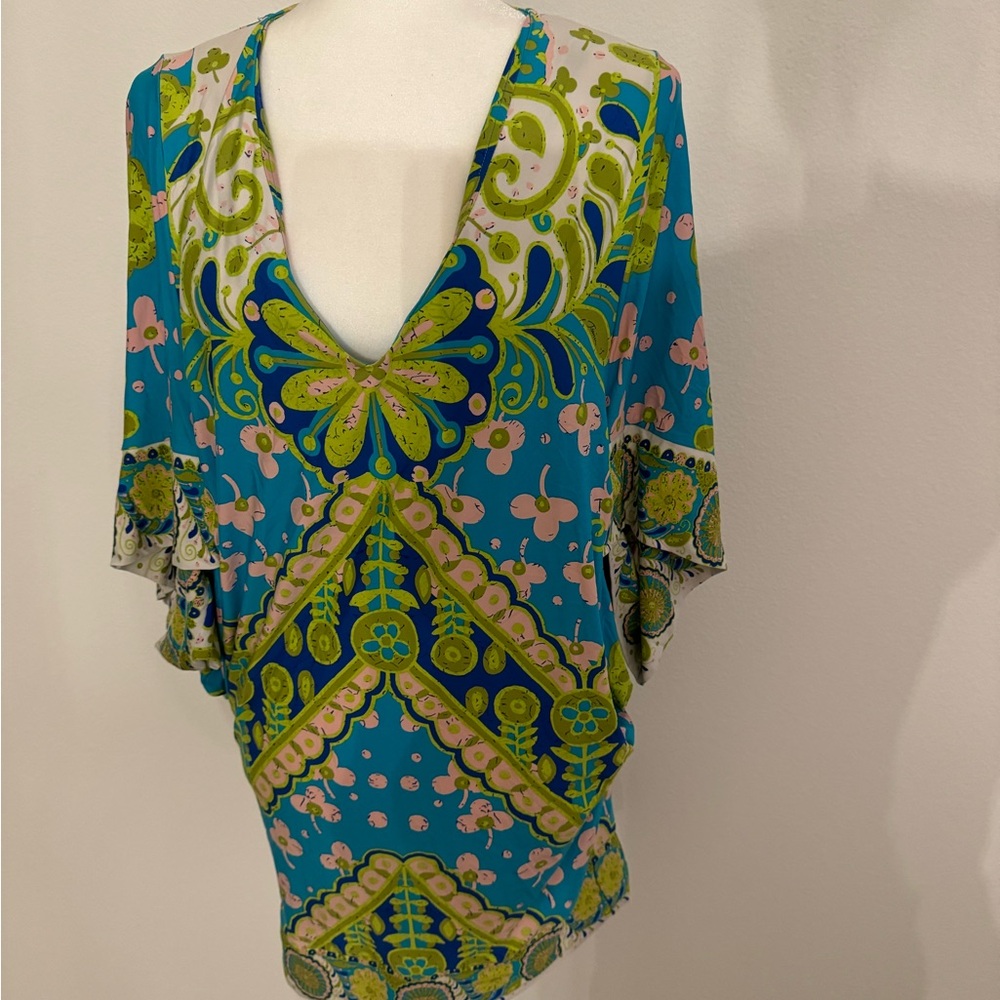 Tina turk cover up